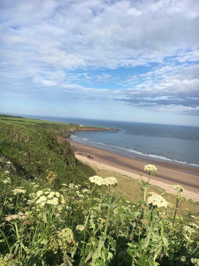 Dunnottar Woods Cottage Stonehaven Exterior foto